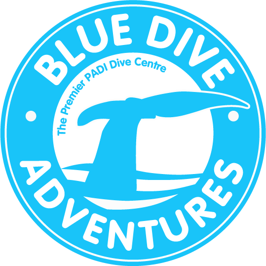 Blue Dive Port Douglas 