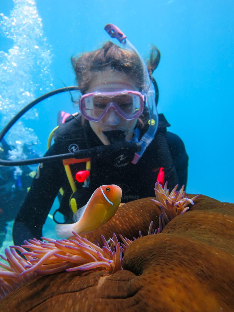 Checking out Nemo on an Open Water dive