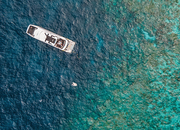 diving tour great barrier reef