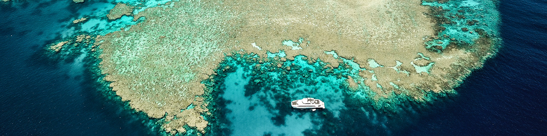 dive trip great barrier reef