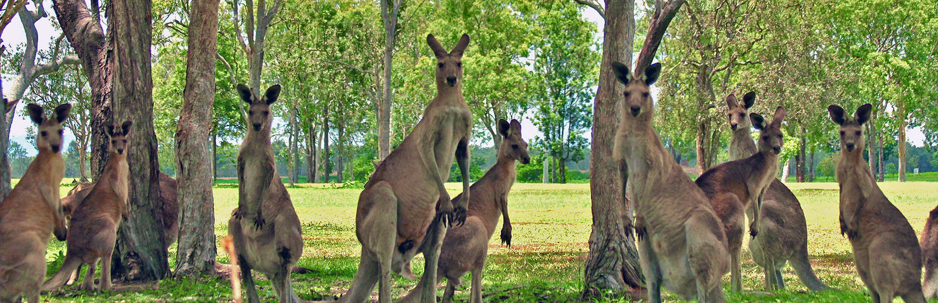 <b>Adventure</b> Wildlife Tours