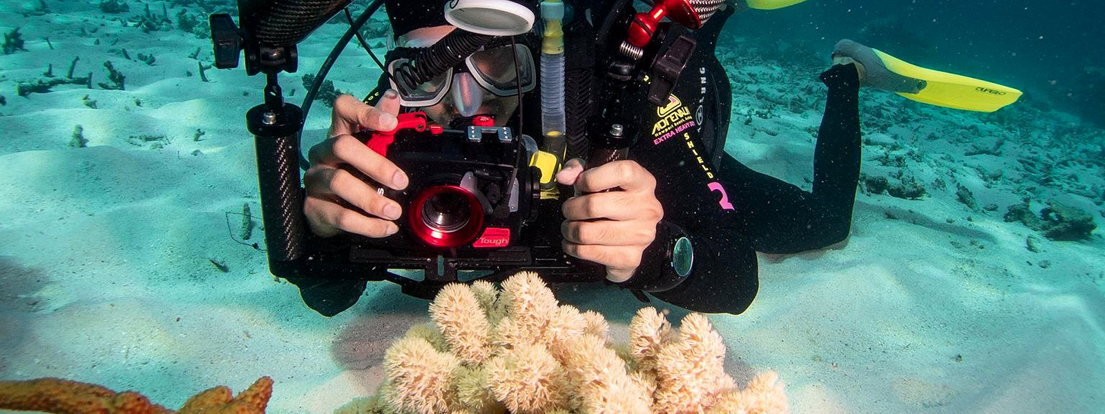 PADI Digital Underwater Photography Course Port Douglas
