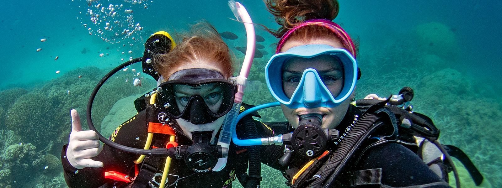 Privately Guided Introductory Diving From Port Douglas