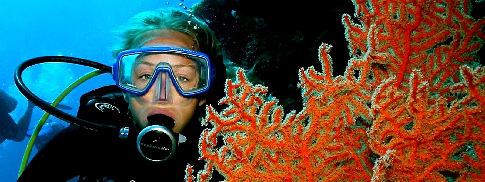 Best Port Douglas Scuba Diving Trips